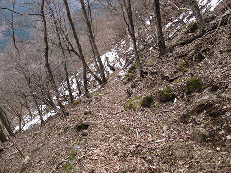 20170113hike (370)